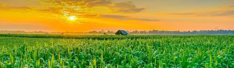 Baner strony o youtuberach